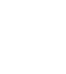 OrtoQBank Logo